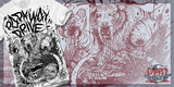 PARKWAY DRIVE - SABRE TOOTH 
