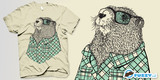 Meet Mr. Woodchuck
