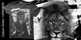 The Lions are at the Door