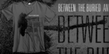 BTBAM - The Fly