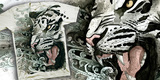 Le Tigre