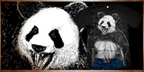 Premium Panda