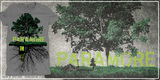 Paramore | Bury The Castle