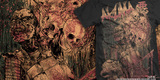 Akuma: Reaper Samurai