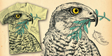 The Hawk and the Olive Branch