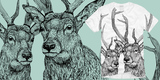 BIG BUCK$$$$