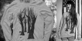 alumni trees