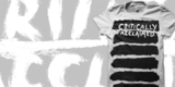 Critically Acclaimed - Stripe