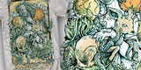 SOVEIGN APPAREL-The beautiful death of Minerva