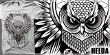 BLACK & WHITE OWL 