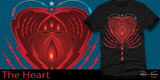 The Heart
