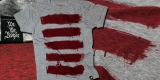 The Rebellious Stripes