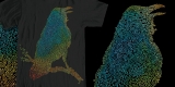 The Iridescent Raven