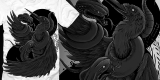 Swan and Cobras