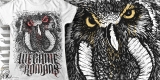 We Came as Romans- Relentless