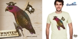 Parrot [pirate]