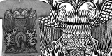 EAGLE vs SNAKE