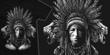 TRIBE2