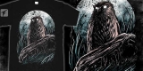 Spooky Night Owl