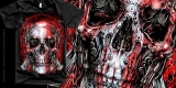 MECHANICAL SKULL