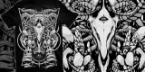 Belphegor