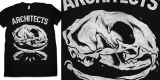 Cat Skull