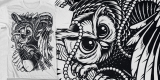 " OWL ATTACK "