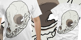 CHIHUAHUA !!